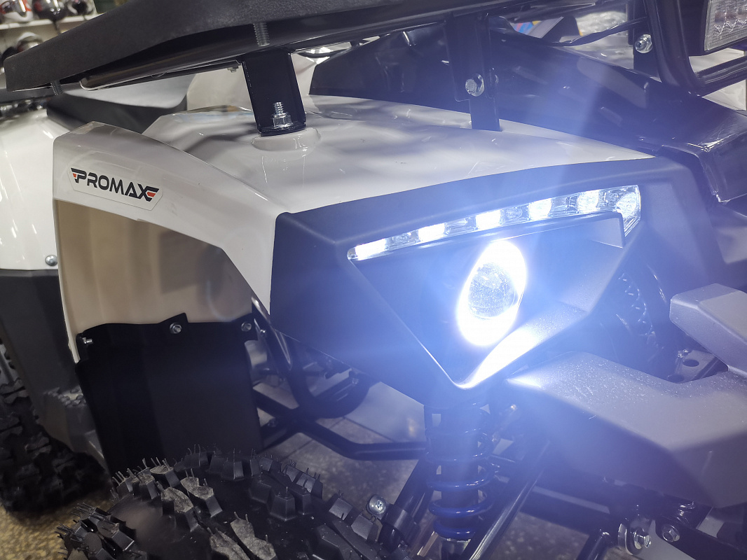Квадроцикл PROMAX WILD 175 LUX в Кургане