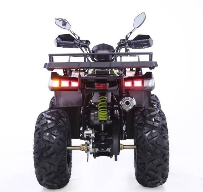 Квадроцикл YACOTA WARRIOR 200 PRO в Кургане