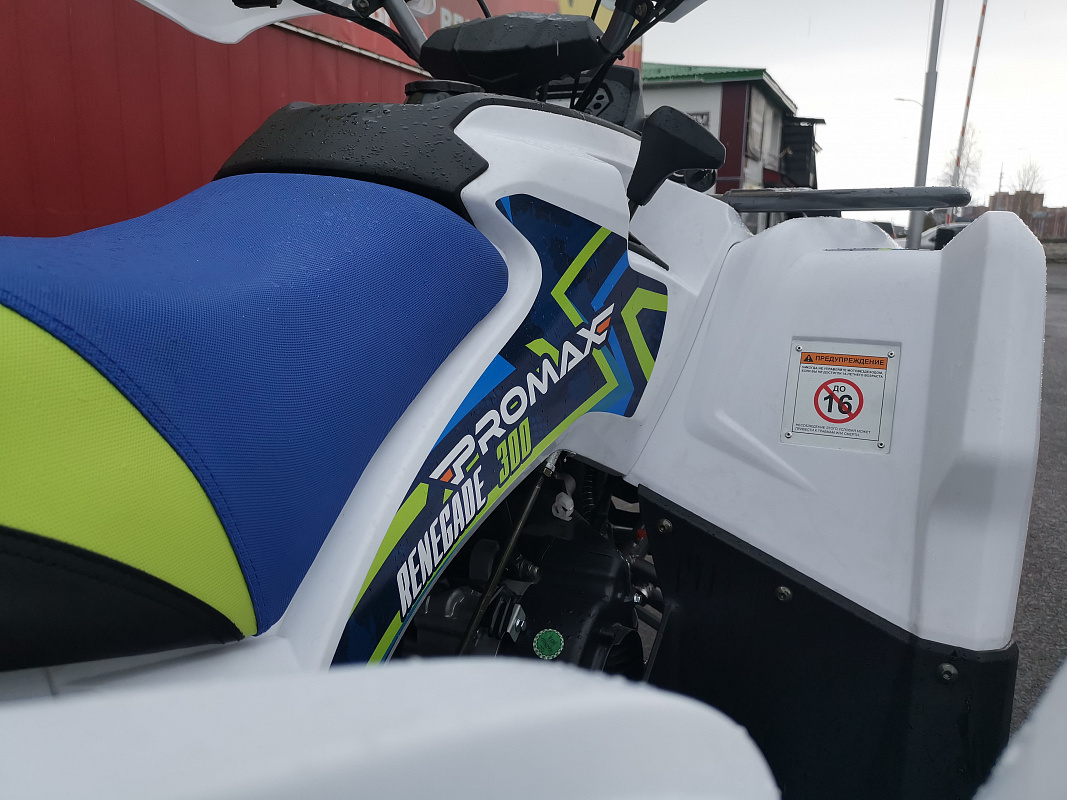 Квадроцикл PROMAX RENEGADE 280 LUX (2025) в Кургане