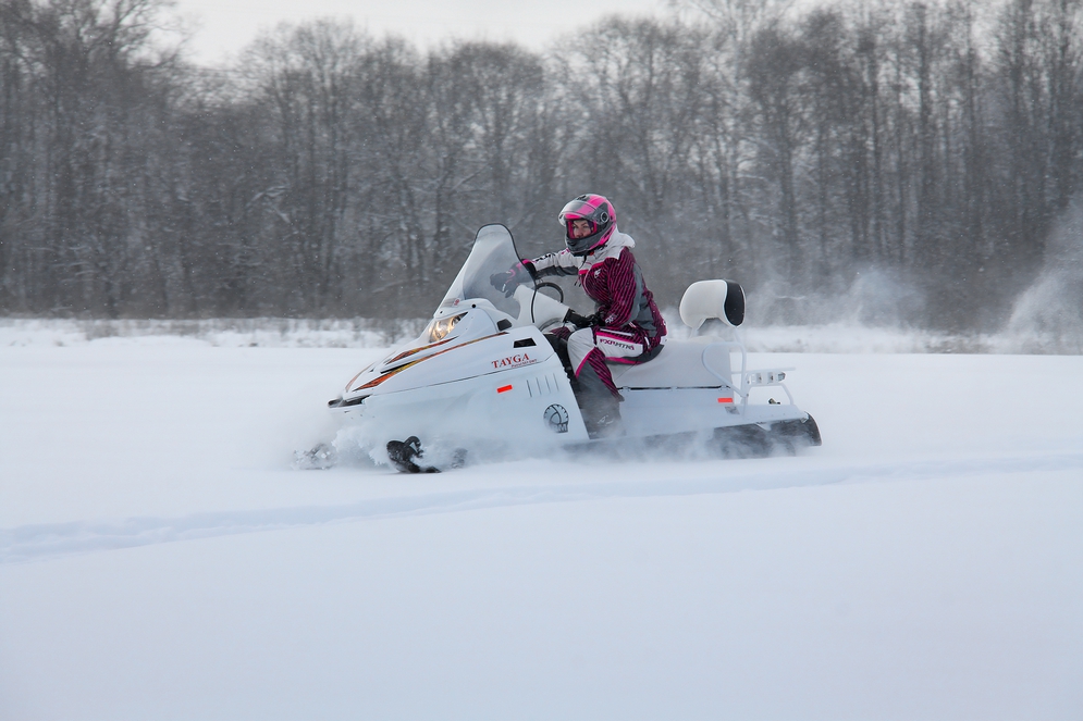 СНЕГОХОД РМ ТАЙГА ПАТРУЛЬ 551 SWT в Кургане