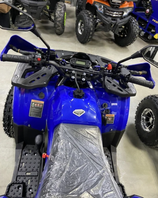 Квадроцикл PROMAX WILD 2.0 190 PRO (2025) в Кургане