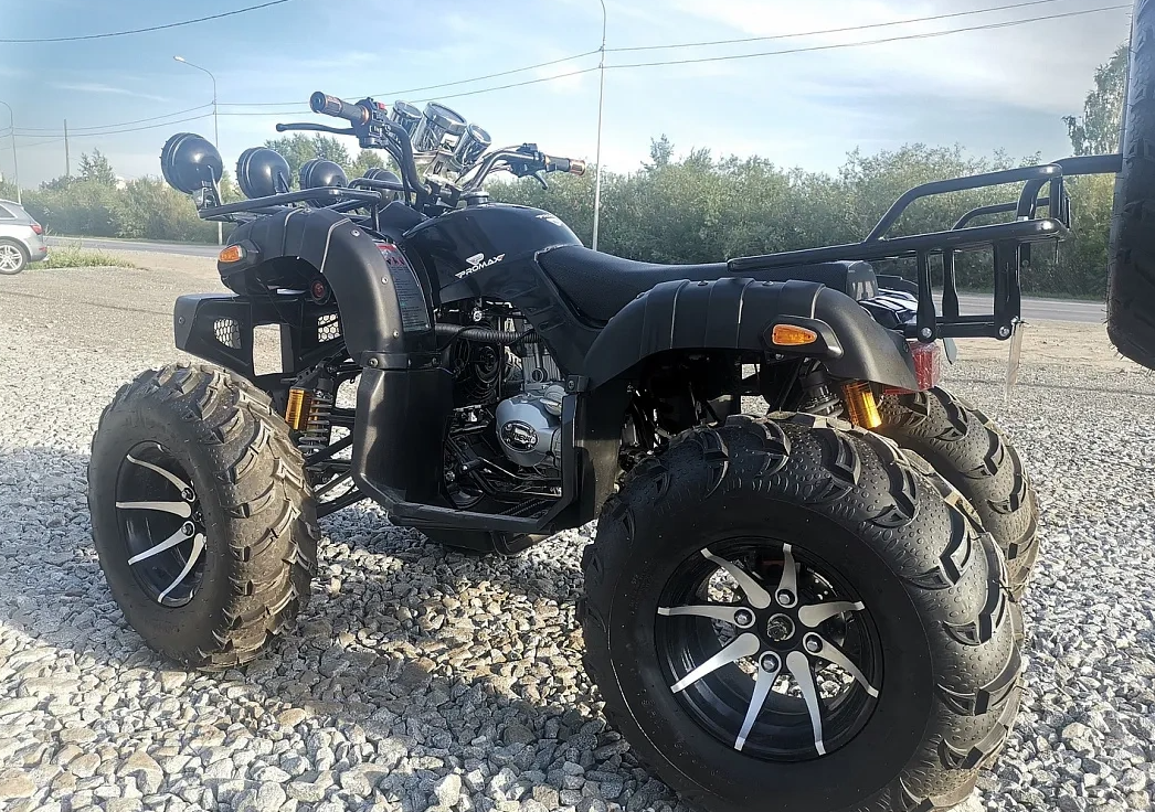 Квадроцикл PROMAX LEO 300 Max (кардан) в Кургане