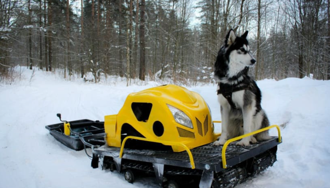 Мотобуксировщик LEBEDEV MOTORS ВОЛКОДАВ POWER V13 в Кургане