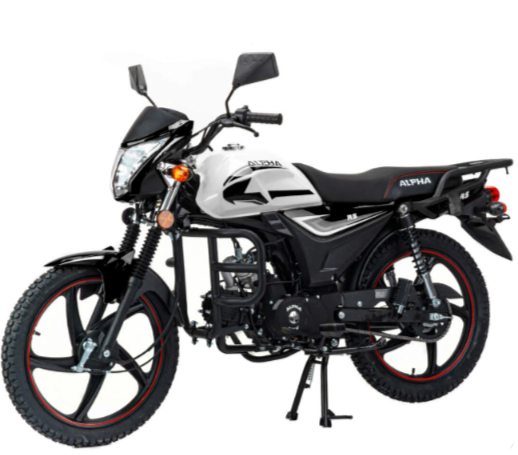 Мопед MOTOLAND (МОТОЛЕНД) Альфа RS 11 (LM48-B) в Кургане