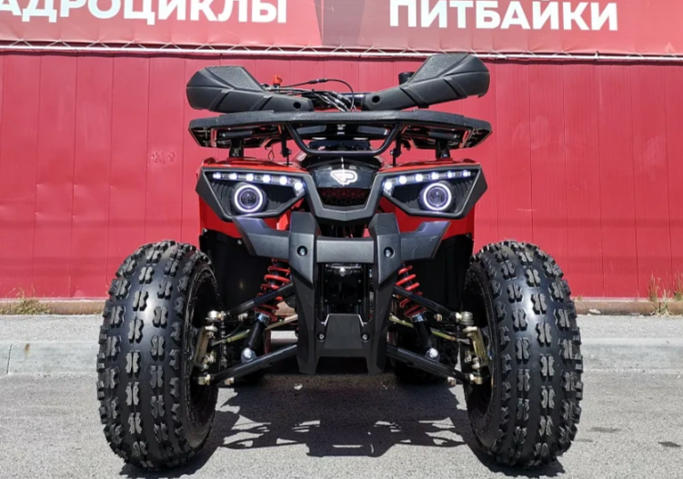 Квадроцикл PROMAX WILD 175 BASIC в Кургане