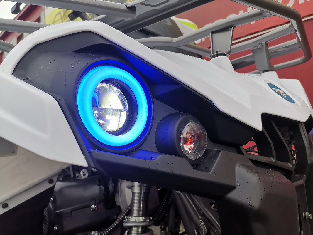 Квадроцикл PROMAX RENEGADE 280 LUX (2025) в Кургане