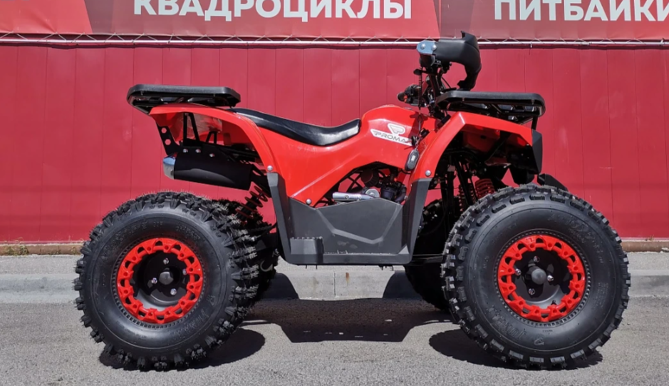 Квадроцикл PROMAX WILD 175 BASIC в Кургане