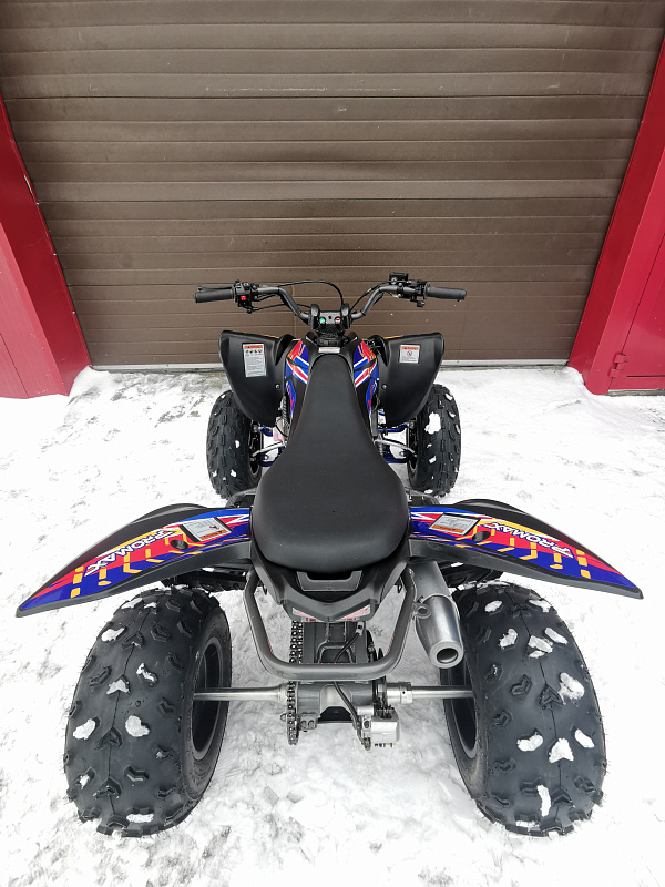 Квадроцикл PROMAX RAPTOR 300 NEW RedBull в Кургане