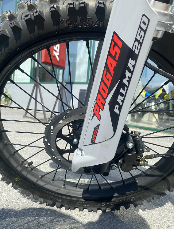 Мотоцикл Progasi PALMA 300 NEW (CB300F) в Кургане