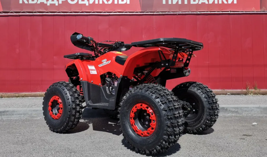 Квадроцикл PROMAX WILD 175 BASIC в Кургане