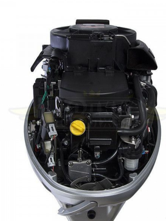 Лодочный мотор SEANOVO SNEF30FEL-EFI в Кургане