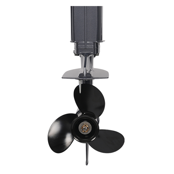 ЛОДОЧНЫЙ МОТОР ALLFA CG Т20 в Кургане