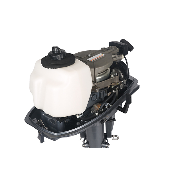 ЛОДОЧНЫЙ МОТОР ALLFA CG T5 в Кургане