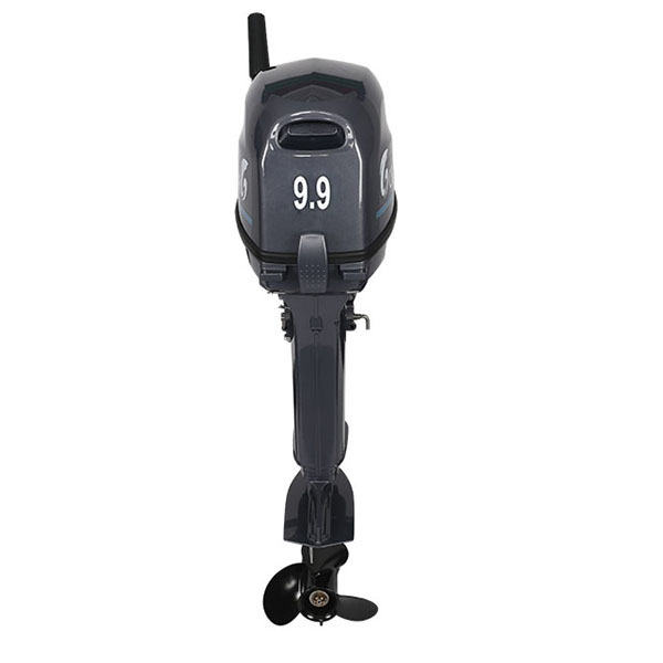 Лодочный мотор ALLFA CG Т9.9(20)MAX в Кургане