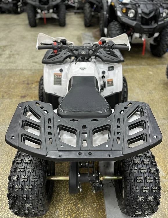 Квадроцикл PROMAX WILD 2.0 190 в Кургане