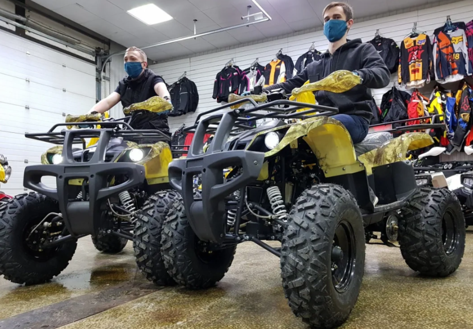 Квадроцикл PROMAX ATV 250 (2025) в Кургане