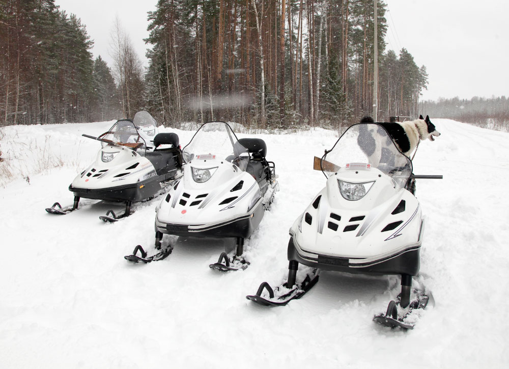 СНЕГОХОД РМ ТАЙГА ВАРЯГ 550 V в Кургане