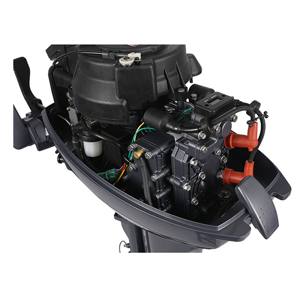 ЛОДОЧНЫЙ МОТОР ALLFA CG Т9,9 Limit в Кургане