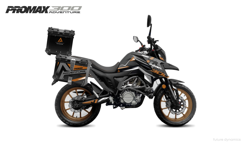 Мотоцикл PROMAX ADVENTURE 300 PRO EFI (NB300) в Кургане