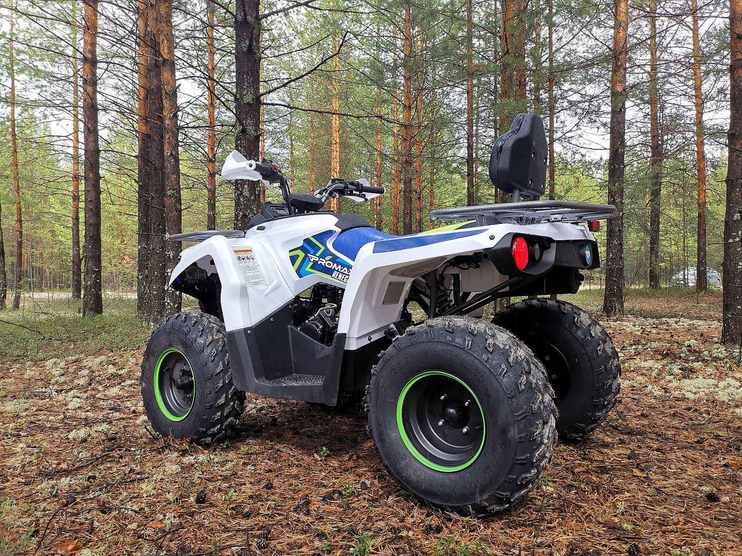Квадроцикл PROMAX RENEGADE 280 (2025) в Кургане
