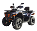 Квадроцикл MOTOLAND (МОТОЛЕНД) 300 MAX X в Кургане