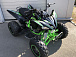 Квадроцикл PROMAX RAPTOR 300 NEW Monster в Кургане