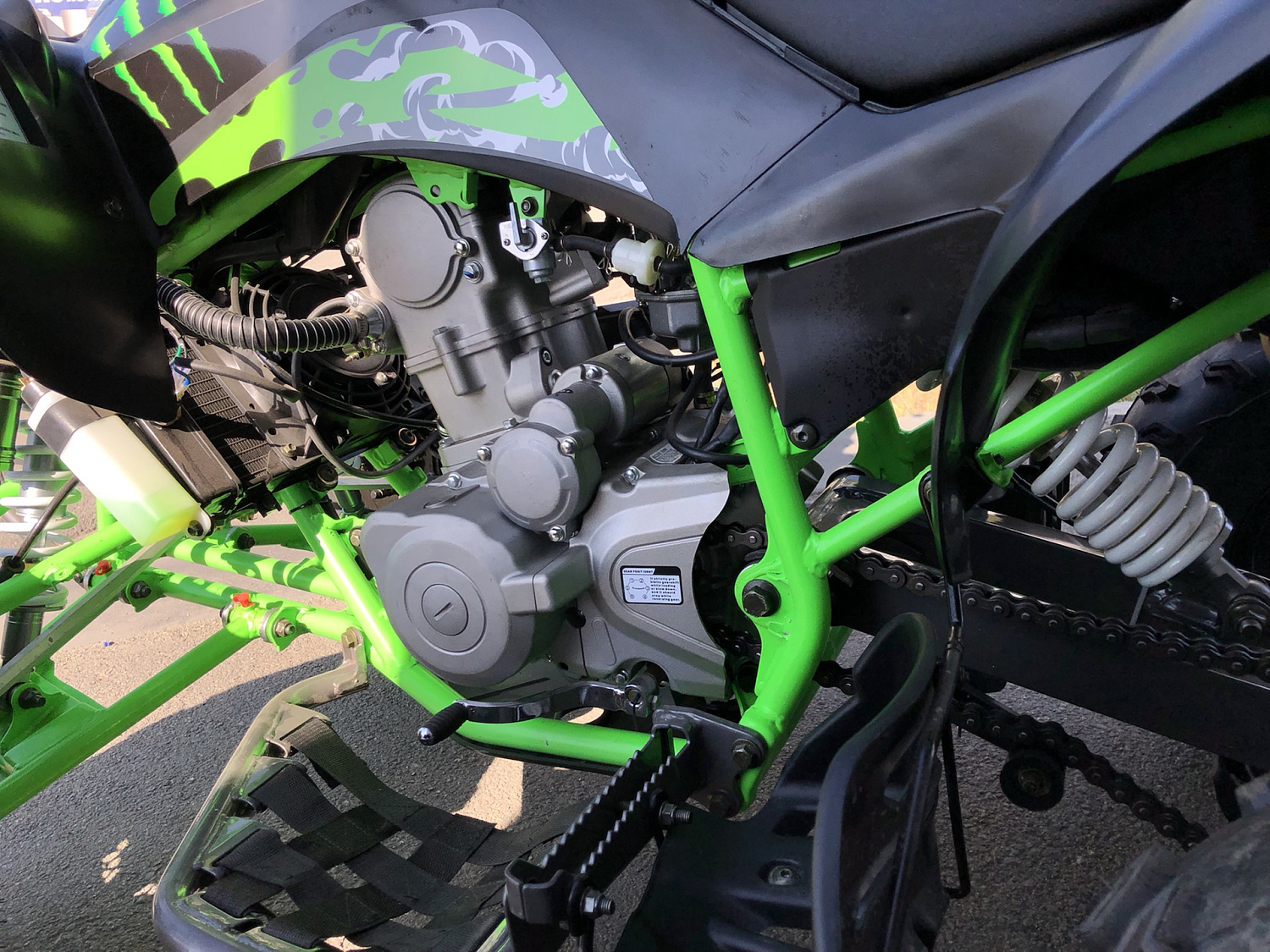 Квадроцикл PROMAX RAPTOR 300 NEW Monster в Кургане