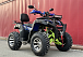  Квадроцикл PROMAX ATV 250 MAX (2025) в Кургане