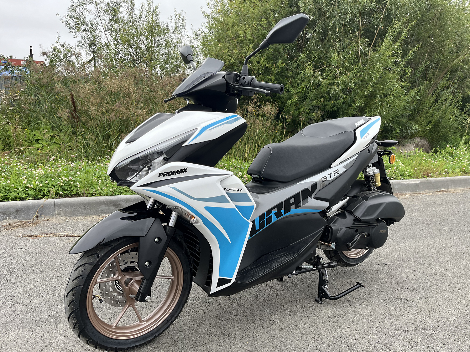 Скутер PROMAX TURAN 250 (49) в Кургане