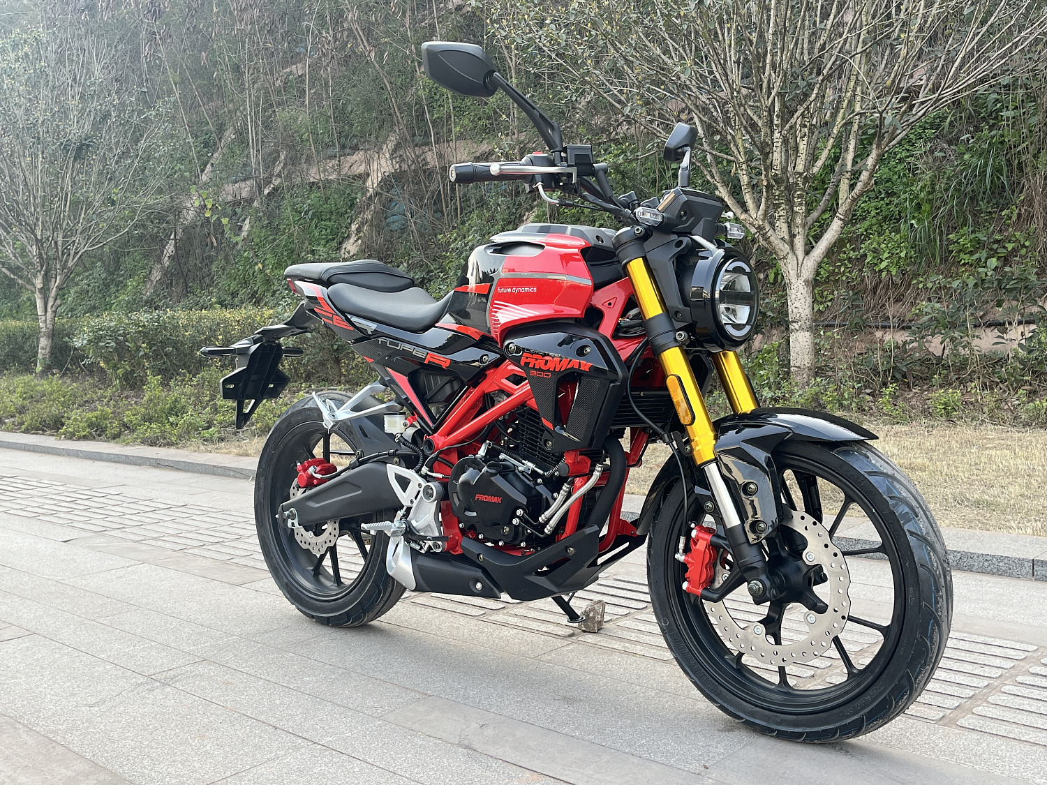 Мотоцикл PROMAX CB300 в Кургане