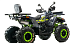 Квадроцикл MOTOLAND (МОТОЛЕНД) VOX200 WILD TRACK X WINCH (баланс. вал) в Кургане