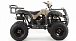 Квадроцикл MOTOLAND (МОТОЛЕНД) 200 ALL ROAD в Кургане