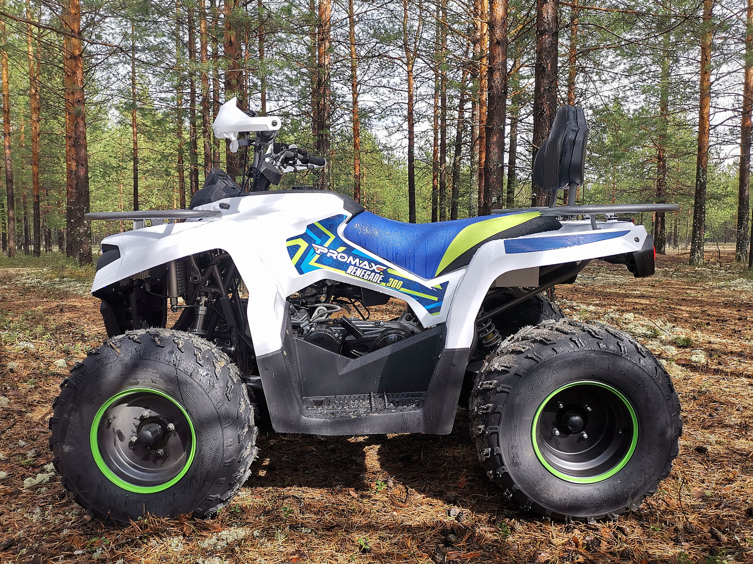 Квадроцикл PROMAX RENEGADE 280 (2025) в Кургане