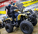 Квадроцикл PROMAX ATV 250 (2025) в Кургане