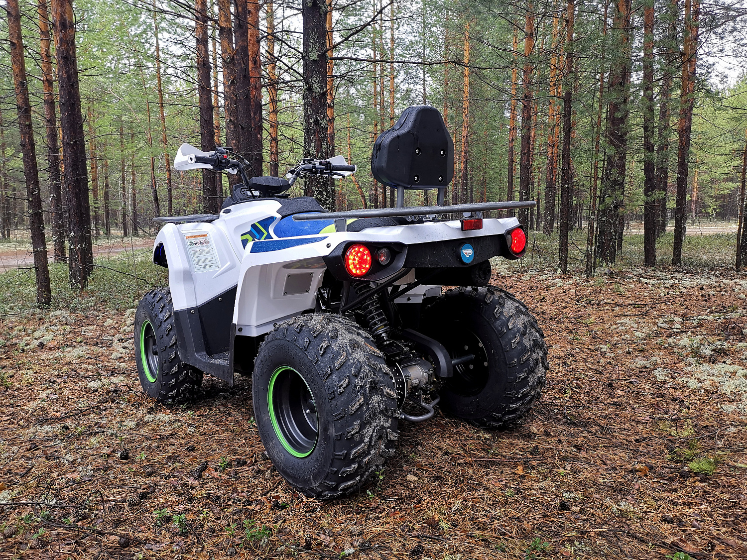 Квадроцикл PROMAX RENEGADE 280 (2025) в Кургане