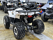 Квадроцикл PROMAX WILD 2.0 190 LUX в Кургане