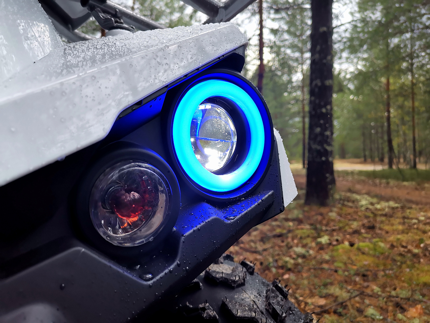 Квадроцикл PROMAX RENEGADE 280 (2025) в Кургане