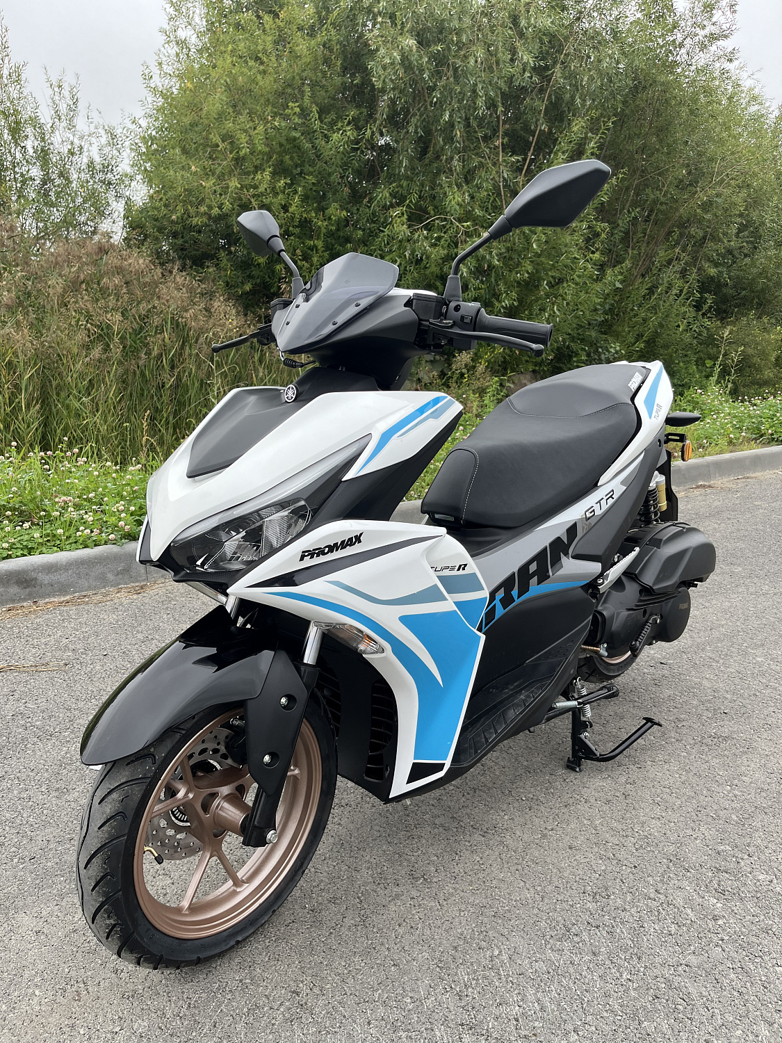 Скутер PROMAX TURAN 250 (49) в Кургане