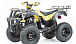 Квадроцикл MOTOLAND (МОТОЛЕНД) 250 ADVENTURE в Кургане