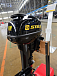 Лодочный мотор STELS 9.9HP в Кургане