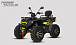 Квадроцикл PROMAX TAURUS 300 MAX-PRO LONG в Кургане